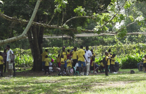 GAMI students explore Ghana’s heritage with educational tour to Aburi Botanical Gardens