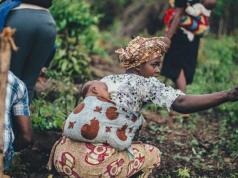 Gender gap in agribusiness threatens Africa’s Climate resilience — NEDEA Report