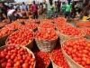 Produce tomatoes in 90 days or step aside – FABAG fires warning at Agric Ministry