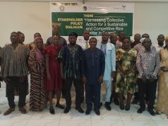 Stakeholders push for stronger coordination to transform Ghana’s rice industry