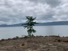 Minister halts illegal land clearing around Lake Bosomtwe