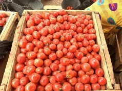 Ghana welcomes lift on tomato export ban by Burkina Faso