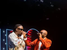 Kwahu Business Forum 2026: Stonebwoy, Kwabena Kwabena to sing at Mahama dinner with entrepreneurs