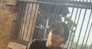 Legon: Student nabbed for using fake alerts as payments