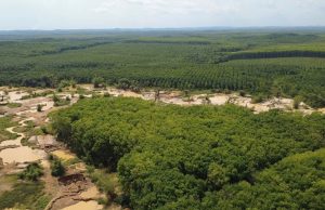 RESEC pushes for swift illegal mining prosecutions