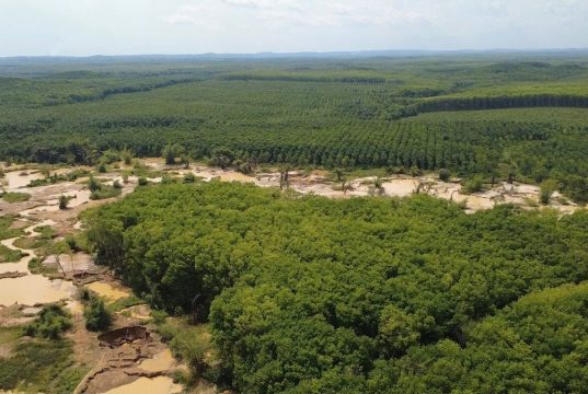 RESEC pushes for swift illegal mining prosecutions