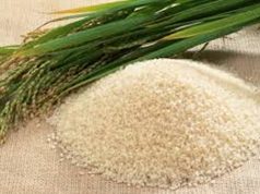 Rice farmers threaten to sell farms to illegal miners