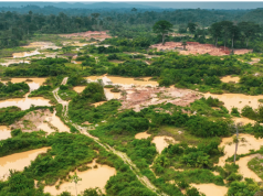 Galamsey fight failing – The Business & Financial Times
