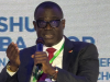 UBA MD calls for shift from ESG frameworks to execution