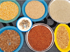 Over 30% of locally produced cereal contaminated