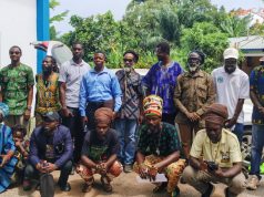 Experts outline path to legal cannabis market in Ghana