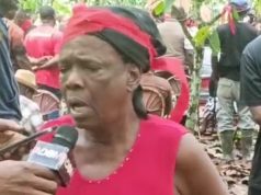 Our MP deceived us – 74-year-old cocoa farmer cries out
