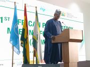 Africa must bridge widening internet usage gap – ATU