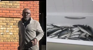 GH Businessman In UK Convicted For Storing Fish In Bathtub Next To Toilet And Selling It To Customers