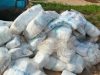 FDA seizes over 155 packs of unapproved diapers in Western North Region