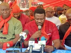 Traders, freight forwarders demand suspension of Publican AI