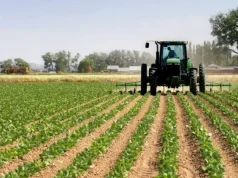 Less talk, More action: Turning Ghana’s horticulture potential into investment