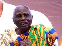 2024 election result vindicates Mahama after 2020 petition dismissal – Tsatsu Tsikata