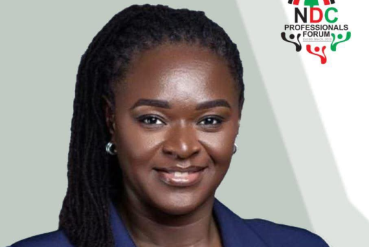 EPA CEO Prof Nana Ama Browne Klutse elected Global President of NDC Professionals Forum sweeping 91% of votes