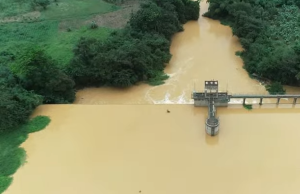 Illegal mining fight not aggressive enough – Prof Boadi