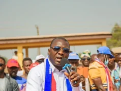 Dr Mohammed Amin Adam made co-chair of NPP Finance and Economy Committee