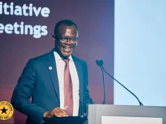 Resilience, not capital inflows new BoG priority