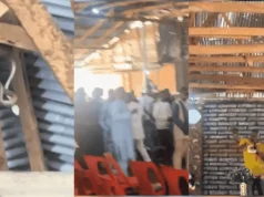 Moment a giant snake was discovered in a church during service