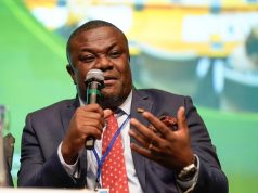 Adomako-Mensah questions Mahama’s 1,200MW power plant announcement