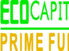 EcoCapital Prime Fund Plc notice of Annual General Meeting
