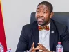 Former Health Minister warns against premature judgment on Charles Amissah report