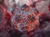 WHO monitors rare hantavirus outbreak aboard cruise ship; three dead