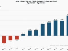 Inflation-adjusted private sector credit up 24.5%