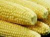 Africa food systems initiative launched in Accra
