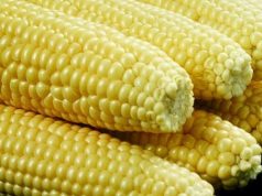Africa food systems initiative launched in Accra