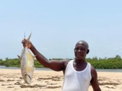 Rising tidal waves threaten livelihoods in Volta Region