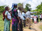 CSIR-CRI trains rice farmers, value chain actors on good agronomic practices