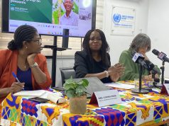 Neglect of sustainable agriculture could trigger food crises in Ghana – UN warns