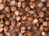 Accra hosts 18th annual shea industry conference