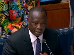 Ghana leads Africa in forest reforms, secures global spotlight at UN