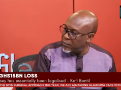 If BoG isn’t a profit-making institution, it also can’t be a loss-making one – Kofi Bentil