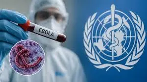 images.jpeg