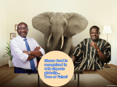 Elephant in the room: Are both Dr. Bawumia and Yayra Koku liars or truthful?