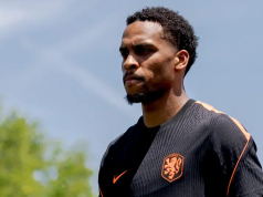 Netherlands’ Timber out of World Cup with injury