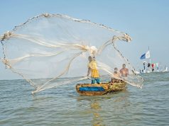Illegality at sea: 94% of fishers register declining catches – report