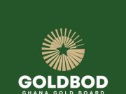 Weak governance could undermine GoldBod’s success - Dr Osabutey