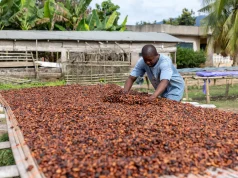 Ghana to stop foreign financing for cocoa by 2030 – President Mahama