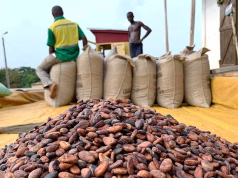 Labour expert highlights COCOBOD debt burden inherited by government