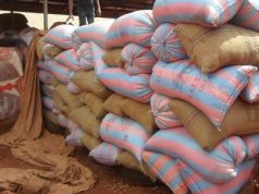 Ghana’s food security lies in climate-smart agriculture – Dr Sintim