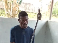 Man jailed 3 years for hunting bushmeat in protected forest