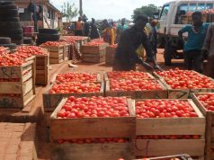 Ghana government to engage Burkina Faso over tomato export ban
